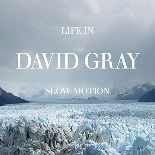 David Gray Life in Slow Motion