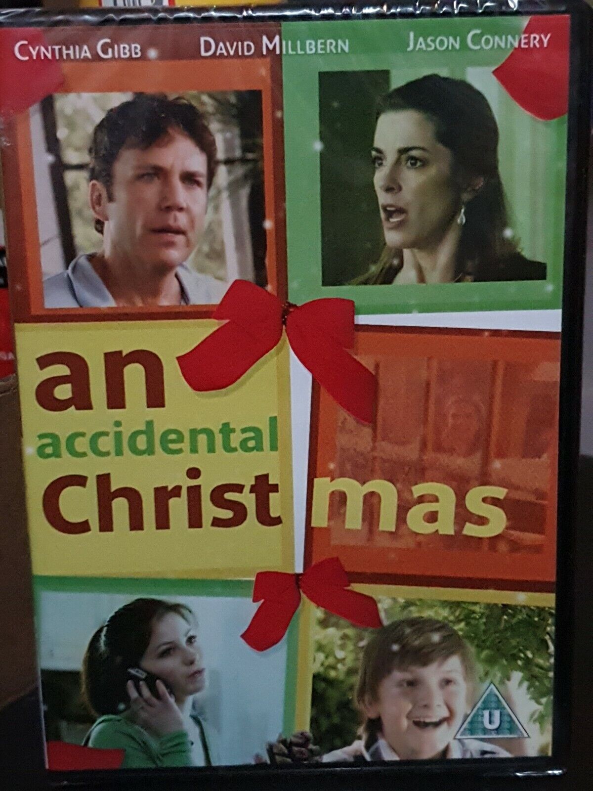 An Accidental Christmas [DVD]