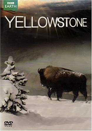 Yellowstone [DVD] [2009]